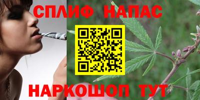 спиды Бузулук