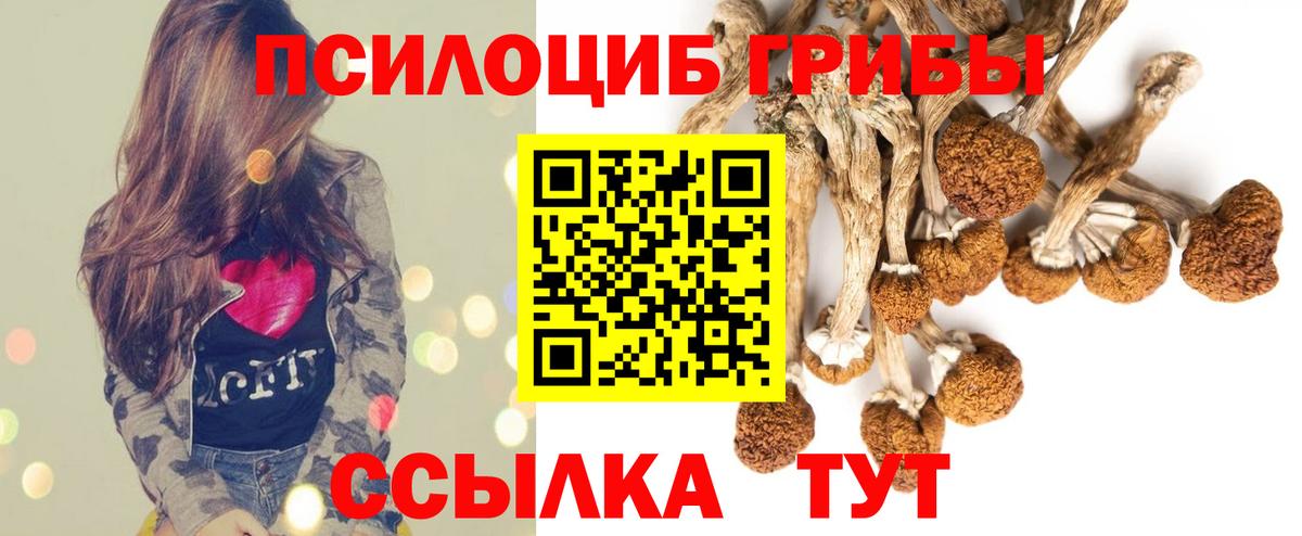 Псилоцибиновые грибы GOLDEN TEACHER Пугачёв