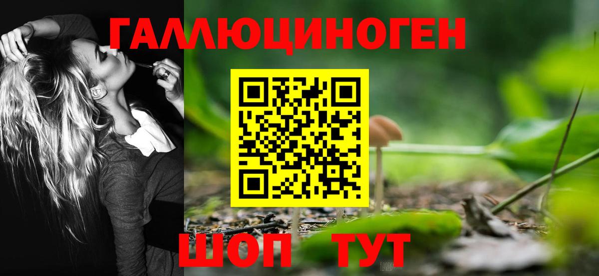 Галлюциногенные грибы Psilocybe  Вход с VPN  Пугачёв 