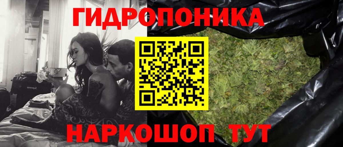 Конопля MAZAR  Каннабис White Widow  Пугачёв  Конопля планчик  Вход с VPN 